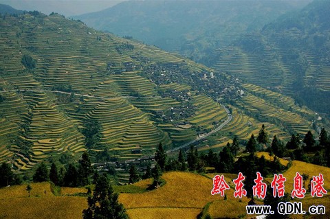 �׹�ɽ�������箋���D��