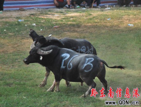 ӭ���cţ������ِ�_Ļ �~��