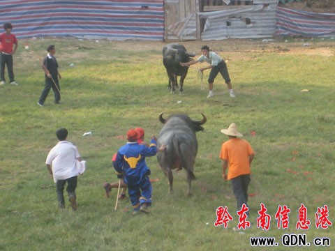 ӭ���cţ������ِ�_Ļ �~��