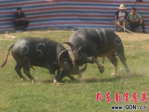 ӭ���cţ������ِ�_Ļ �~��