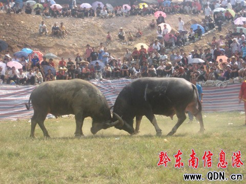 �V����ţ�����e�Z���� ����+�����Z��(�D)