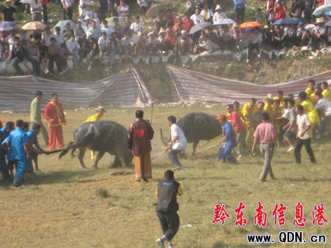 ����ţ������ِ�]Ļ  �P��ţ���Z�ذ������D��