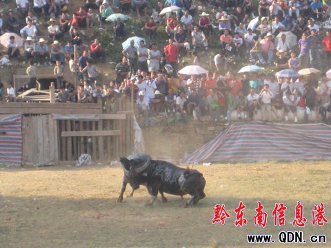 ����ţ������ِ�]Ļ  �P��ţ���Z�ذ������D��