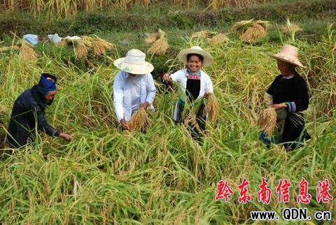 ���X�{���˿��������F�ݶ�կ����ռ��M�D��