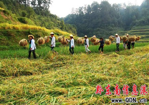 ���X�{���˿��������F�ݶ�կ����ռ��M�D��