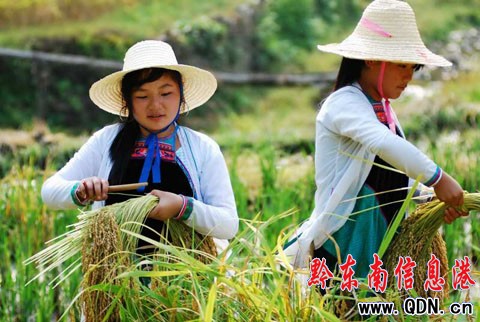 ���X�{���˿��������F�ݶ�կ����ռ��M�D��