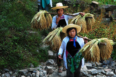 �Ľ���կŴ���h�� ̎̎�S��?q��ng)���ß��[���D��