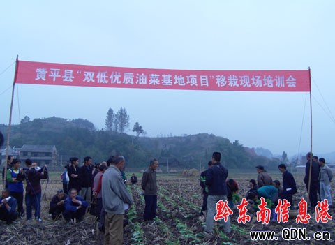 �Sƽ�����f���f�����p���Ͳˡ����أ��D��