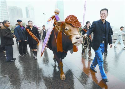 ���ӏV���Ϡ���ţ����(�D)