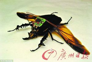 ���о��ˆT�o���x�b�Cеϵ�y(t��ng)�������w��(�D)