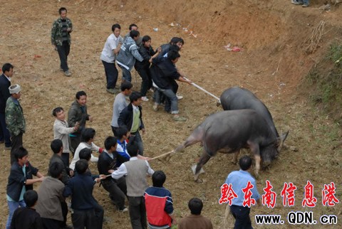 �Ľ�������r(n��ng)�eِ��ţ���M�D��