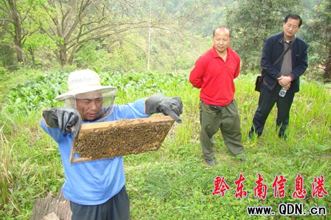 ���������B���¸� ÿ���M����6�f���D��