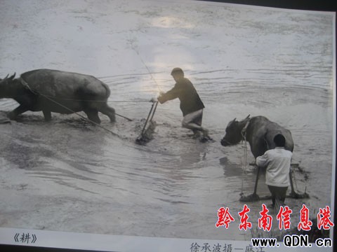 凱麻劍臺聯(lián)合推出攝影展 60年輝煌入照中(圖)