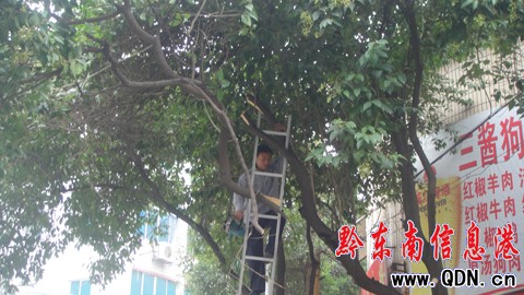 �P���Ј@��̎���е����M���޼����D��