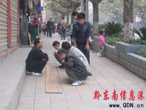 �P����^���ۡ�����ʢ���� ��?zh��n)��y�棨�D��