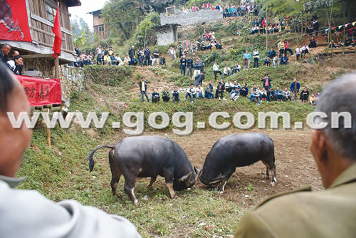 �\���h��嶱կ��ꖹ� ����ţ���D��