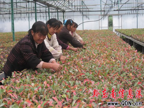 �{(l��n)ݮ���齭���B(t��i)�¸������^�����D��