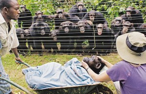 ���޺�����������Ŀ�Ͳ���ͬ�鱻���߰���(�D)