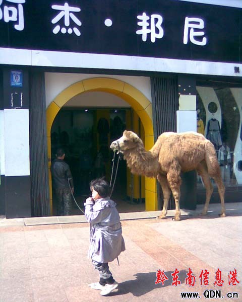 ��������� ������������M�D��