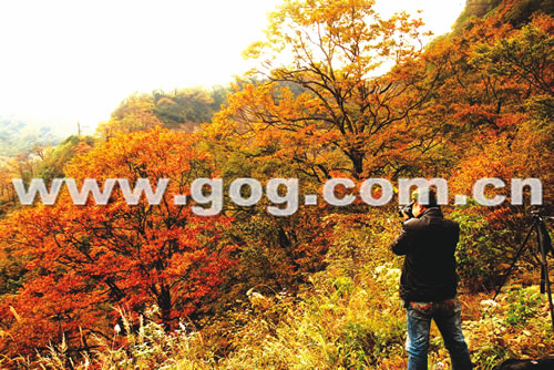 �׹�ɽ�����~�t�ƻ𣨈D��