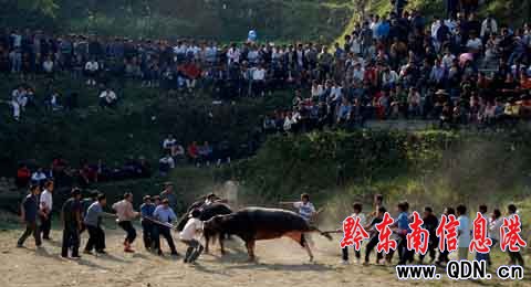 ��կ�f�˹��c���깝���M�D��