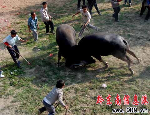 ��կ�f�˹��c���깝���M�D��