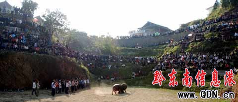 ��կ�f�˹��c���깝���M�D��