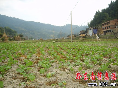 �\���h��կ����ǰ��ɟo�����Ͳ��ԷN�΄�(�D)