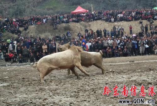 ��ɽ�e�k���i��������ِ���(d��ng)���D��