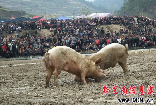 ��ɽ�e�k���i��������ِ���(d��ng)���D��