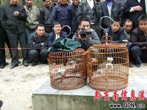 ��ɽ�e�kԭ���B���B��������ِ���D��