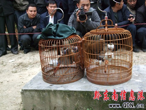 ��ɽ�e�kԭ���B���B��������ِ���D��