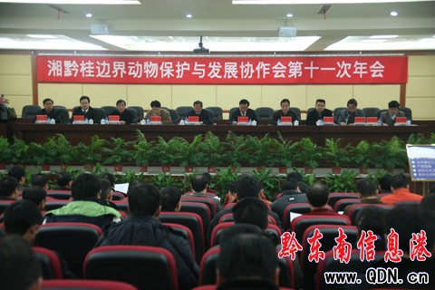 ��ǭ��߅����ﱣ�o�c�lչ�f�������������_