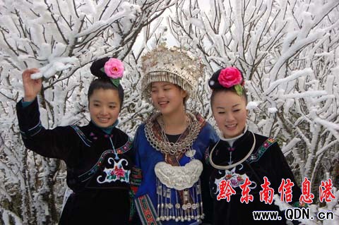 雷公山氣溫回升冰凝花綻放(組圖)