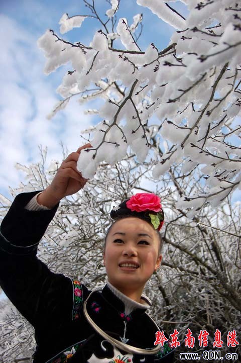 雷公山氣溫回升冰凝花綻放(組圖)