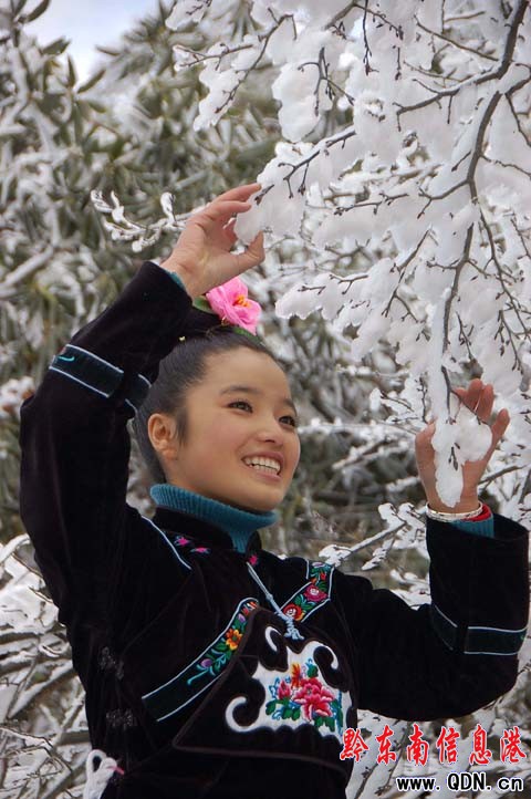 雷公山氣溫回升冰凝花綻放(組圖)