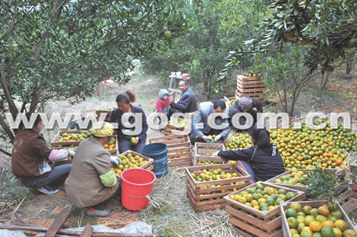 �\���h�����f������ʹ3000�r(n��ng)�����գ��D��