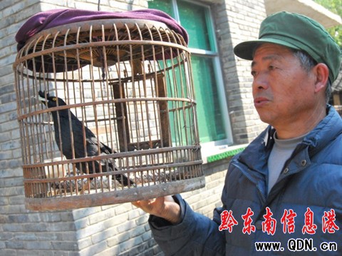 ���˸磬��ģ�����fԒ���D��