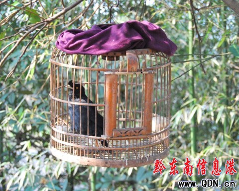 ���˸磬��ģ�����fԒ���D��