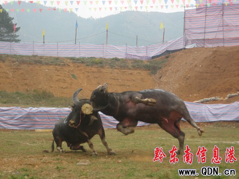 昔日“銅錘”黯然離場 “拔苗助長”奪首冠(圖)