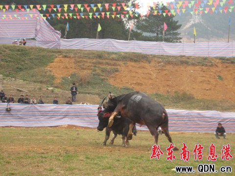 昔日“銅錘”黯然離場 “拔苗助長”奪首冠(圖)