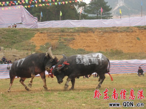昔日“銅錘”黯然離場 “拔苗助長”奪首冠(圖)