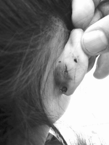 С�W������φ��}���ώ������p��(�D)