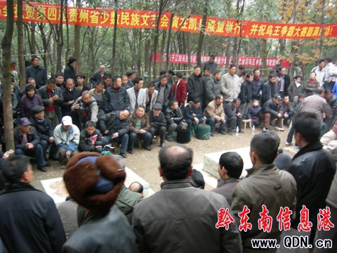 鳥(niǎo)王爭(zhēng)霸大賽:百余名愛(ài)鳥(niǎo)者以鳥(niǎo)會(huì)友(組圖)