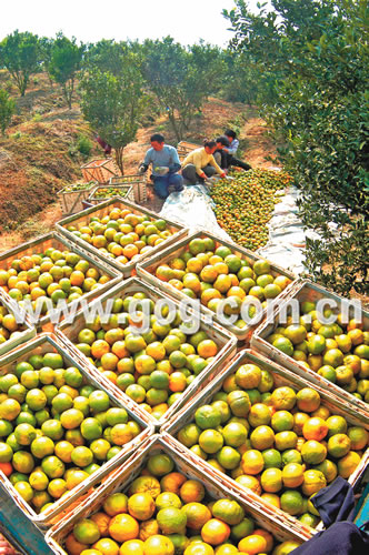 �\�������r�����չ��� æ�S�գ��D��