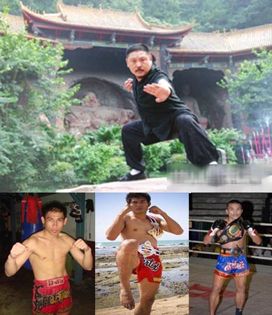 ̩ȭ����(zh��n)�Ї������(n��i)Ļ��¶:�M���ߑT�Ðۇ�����