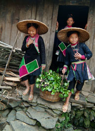 ɭ�օ��е��ɳ��կ���M�D��