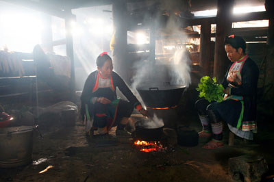 ɭ�օ��е��ɳ��կ���M�D��