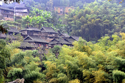 ɭ�օ��е��ɳ��կ���M�D��