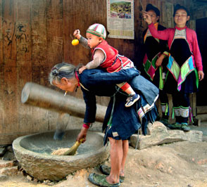 ɭ�օ��е��ɳ��կ���M�D��